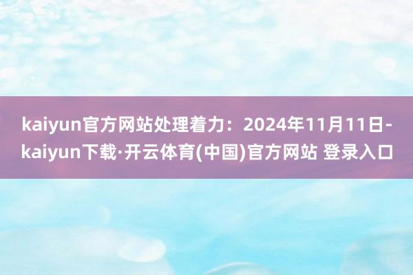 kaiyun官方网站处理着力:2024年11月11日-kaiyun下载·开云体育(中国)官方网站 登录入口