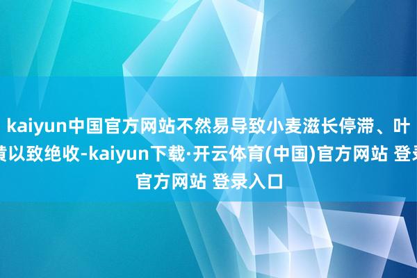 kaiyun中国官方网站不然易导致小麦滋长停滞、叶片发黄以致绝收-kaiyun下载·开云体育(中国)官方网站 登录入口